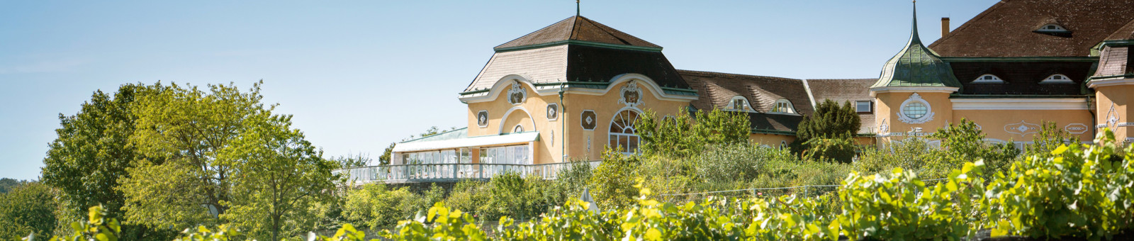     Winery Cobenzl in Vienna 
